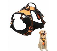 XALFST Arnés Perro Grande Antitirones, 1 Unidad Talla L Naranja, Ajustable Reflectante para Paseos Seguros y Distribución de Fuerza Anti-Estrés en Mascotas Grandes
