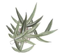 XANHOY Elegante pinza de pelo de hoja de bambú estilo chino con forma de hoja de bambú para niña, tiaras de primavera para cola de caballo