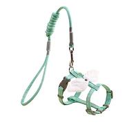 XANHOY Juego de arnés y correa para gatos con anillo en D de metal, arneses suaves ajustables para gatos y perros pequeños, longitud de 1,2 m