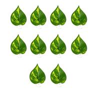 Xanorrg Aquarium Decors Plant Ornaments Colorful Water Plant with Suction Cup Landscaping Artificial Leaves Appearance Aquarium Decorations Large Small