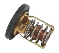 XavendruQP Termostato 130°F 54°C Compatible con Motores Fuera Borda DFI EFI 3.0L 200 225 250 Reemplaza 8855991 8M0057307 18-3535