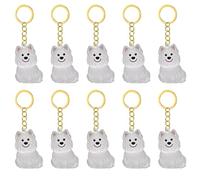 xbiez 2/3/4/5/10 llaveros conmemorativos de pelo de mascotas con caja de almacenamiento transparente para apreciar a gatos, perros, conservaciones, colgantes, regalo de condolencias por pérdida de