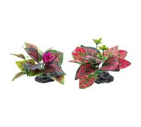 xbiez Acuarios, paisaje, hierba, resinas, acuarios, decoración, arte, terrario, hábitat, adornos, accesorios para fotos