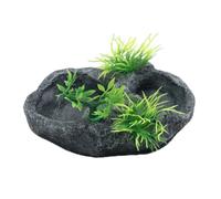 xbiez Bandeja de comederos para mascotas, resinas duraderas, platos de alimentación para reptiles, alimentadores de agua para tortugas y lagartijas