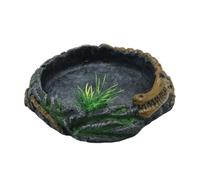 xbiez Bandeja de comederos para mascotas, resinas duraderas, platos de alimentación para reptiles, alimentadores de agua para tortugas y lagartijas