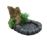 xbiez Bandeja de comederos para mascotas, resinas duraderas, platos de alimentación para reptiles, alimentadores de agua para tortugas y lagartijas