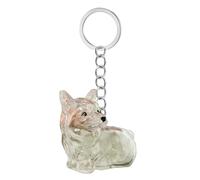 xbiez Llavero conmemorativo transparente para mascotas, caja de almacenamiento de pelo en miniatura para dueños de perros, regalo de viaje sentimental, accesorios de viaje sentimentales