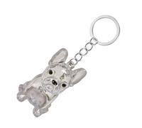 xbiez Llavero conmemorativo transparente para mascotas, caja de almacenamiento de pelo en miniatura para dueños de perros, regalo de viaje sentimental, accesorios de viaje sentimentales