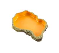 Xbsduih 1 cuenco para alimentación de reptiles terrario placa alimentador de reptiles como se muestra resina para rana, tortuga, dragón, barbudo, tortuga, M