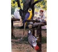 XcBAIHOUD Famoso Figura Pintura Famosos Cuadros Allo zoo di Wilhelm Kuhnert para la Decoración del Hogar de la Oficina 60x90cm