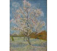 XcBAIHOUD Famoso Figura Pintura Famosos Cuadros il Pesco Rosa di Vincent Van Gogh para la Decoración del Hogar de la Oficina 60x90cm