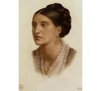 XcBAIHOUD Lienzo vintage moderno con imágenes de animales, retrato de la señora Georgin a Fernandez de Dante Gabriel Rossetti, póster vintage para decoración de oficina, 60 x 90 cm