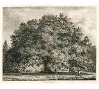 XcBAIHOUD Pinturas Famosas Figura Pintura Famosos cuadros Chandos Oak Michendon House Southgate London por Jacob George Strutt 00para Regalo 60x90cm
