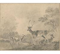 XcBAIHOUD Pinturas Famosas Figura Pintura Famosos Cuadros Daini Stag Doe e Fawn in a Cleaaring di Sawrey Gilpin para Regalo 60x90cm