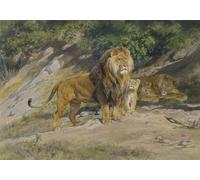 XcBAIHOUD Pinturas Famosas Figura Pintura Famosos Cuadros gli Orologi del Re di Rosa Bonheur para Regalo 60x90cm