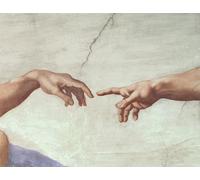 XcBAIHOUD Pinturas Famosas Lienzo Imagen Lienzo Murales Mani di Dio e dettaglio della creazione di Dal soffitto della Sistina di Buonarroti para Regalo 60x90cm