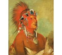 XcBAIHOUD Pinturas Famosas Lienzo Imagen Lienzo Murales Non si può abbattere una Warriories di George Catlin para Regalo 60x90cm