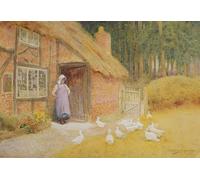 XcBAIHOUD Pinturas Famosas Mural Pintura Cuadros Popular la ragazza delle oche di Arthur Claude Strachan para Regalo 60x90cm