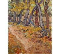XcBAIHOUD Pinturas Famosas Mural Pintura Cuadros Popular Sentiero nel giardino del manicomio a Saint-rémy - Vincent Gogh Van para Regalo 60x90cm