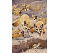 XcBAIHOUD Reproducción de lienzo Figura Pintura Famosos Cuadros Fennec e Jerboa di Dopo Wilhelm Kuhnert para Decoración de Paredes 60x90cm