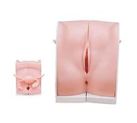 XDAWQP Modelo de Orientación Anticonceptiva Anticoncepción Educativa Modelo de Orientación Anticonceptiva para Enfermería Médica Herramienta para la Dentición