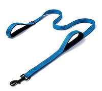 XDKS Correa para perro, clip más fuerte, acolchado de tráfico, dos asas, doble asa para entrenamiento de seguridad, correas para perros grandes o perros medianos (azul, 150 cm)
