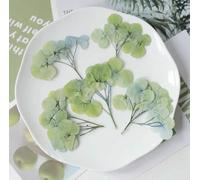 XDMING 1 Juego de Tallos de Flores de Hortensia secas prensadas de múltiples brotes para Colgantes de Resina epoxi, joyería, Fundas de teléfono, marcapáginas, Tarjetas y Manualidades DIY.