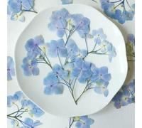 XDMING 1 Juego de Tallos de Flores de Hortensia secas prensadas de múltiples brotes para Colgantes de Resina epoxi, joyería, Fundas de teléfono, marcapáginas, Tarjetas y Manualidades DIY.