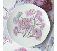 XDMING 1 Juego de Tallos de Flores de Hortensia secas prensadas de múltiples brotes para Colgantes de Resina epoxi, joyería, Fundas de teléfono, marcapáginas, Tarjetas y Manualidades DIY.