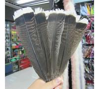 XDMING 10 Uds. Plumas Naturales de pájaro águila 25-30cm Plumas de águila Prime seleccionadas decoración de joyería DIY