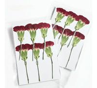 XDMING Flores prensadas de Media sección para Manualidades, Flores Naturales, Marcos de Fotos de Plantas, Fundas de teléfono con Efecto de Goteo, marcapáginas, Naturaleza, 4-6 cm, 8-9 cm, 6 Unidades
