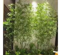 XDOPIRRS Valla de Bambú Artificial, Pared de Privacidad con Bambú Plástico Decorativo, Adecuada para Barreras de Privacidad en Jardines, Entradas de Patios(1m/3.3ft Tall,60 Bamboo)