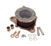 XEBRAD Kits de admisión filtro aire motocicleta con bronce CNC, for Harley, Sportster Iron 883 XL1200 48 72 Forty-Eight 1991-2021 Elemento de filtro de aire para motocicleta
