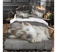 XEFASIDBN Lindo Mapache Funda de Edredón Suave Juego de 3 Piezas Diseño 3D Cierre de Cremallera Oculta Incluye Fundas de Almohada Ilustración de Acuarela Funda Edredon for Ancianos Double（200x200cm）