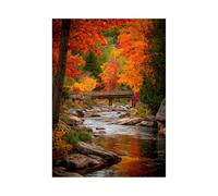XENIOU Cuadro Nature Puente del arroyo Bosque póster de pared, decoración de pared, para el hogar, la oficina, el dormitorio(naranja)-60 x 90 cm sin marco