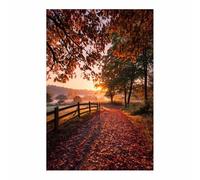 XENIOU Cuadro Paisajes Sendero de la Mañana de Otoño impresión en lienzo, cuadros decoracion, Salon para Dormitorio, Baño（Multicolor-70x100cm Sin marco