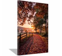XENIOU Cuadro Paisajes Sendero de la Mañana de Otoño impresión en lienzo, cuadros decoracion, Salon para Dormitorio, Baño（Multicolor-20x30cm Enmarcado