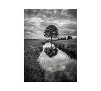 XENIOU Cuadros Modernos Blanco Y Negro Árboles junto al arroyo de la pradera Para sala de estar, baño, dormitorio, cocina, oficina, decorazioni casa.（blanco y negro-80x120cm Sin marco