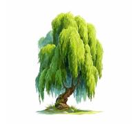 XENIOU cuadros modernos Ilustración de sauce llorón verde decoración de pared, posters para pared, cuadros modernos, Salon para Dormitorio, Baño.（verde-20x30cm Sin marco