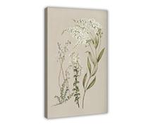 XFATGIA Lienzo decorativo para pared, diseño de plantas de campo francés, para decoración de pared de sala de estar, dormitorio, 60 x 90 cm