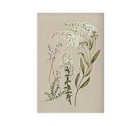 XFATGIA Póster de pared con diseño de plantas de campo francés, decoración de dormitorio, paisaje, oficina, habitación, regalo, 60 x 90 cm