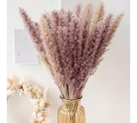 XFSRG 30 Piezas Hierba de La Pampa 60 cm Pampas Seca Ramo Flores Secas Decoración Natural DIY para Interior Dormitorio Salón Balcón Baño Mesa Boda