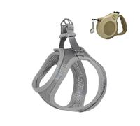 XFSRG Arnés Ajustable para Perros Pequeños Correa y Accesorios Ideales para Paseos y Entrenamiento (Gris XS)