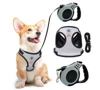 XFSRG Arnés para Gatos y Perros con Correa Antiescape Ajustable con Botón y Chaleco de Seguridad como Equipo de Protección para Mascotas (S)