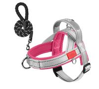 XFSRG Arnés para Perro Ajustable con Correa 1.5M, Malla Transpirable Rosa-Gris, Comodidad Seguridad para Cachorros Perros Pequeños y Medianos