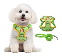 XFSRG Arnes para Perros Pequeños con Correa Ajustable Accesorios para Perros Dog Harness Ideal para Paseos y Entrenamiento(XL)