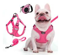 XFSRG Arnés para Perros Pequeños y Medianos Arnés Tipo Chaleco Ajustable y Transpirable con Correa Diseño Cómodo y Seguro para Paseos Diarios (L)