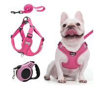 XFSRG Arnés para Perros Pequeños y Medianos Arnés Tipo Chaleco Ajustable y Transpirable con Correa Diseño Cómodo y Seguro para Paseos Diarios (M)