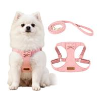 XFSRG Arnes Perro Antitirones Antiescape Anillos de Pecho y Espalda Ajustable con Correa para Perro Pequeños Gatos y Cachorros(Rosa/XS)