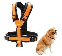 XFSRG Arnés Perro Grande Reflectante Naranja Ajustable Cómodo Accesorios Perros para Paseos Diarios (M)